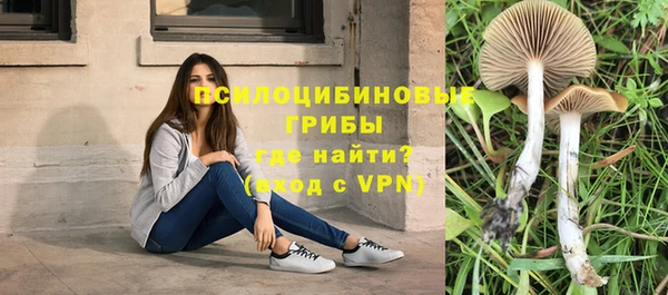 СК Козловка