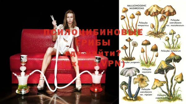 гидропоника Киренск
