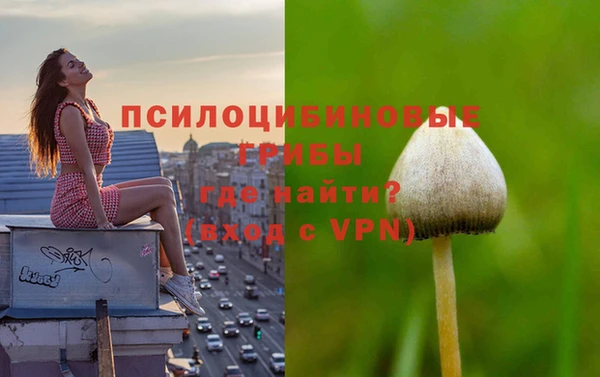 СК Козловка