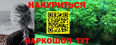 сатива Коммунар