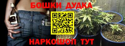 сатива Коммунар