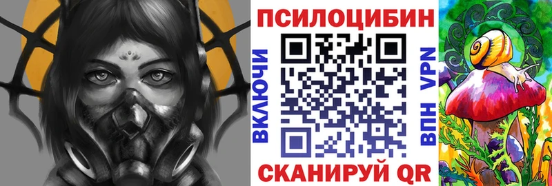 Псилоцибиновые грибы мухоморы  магазин  наркотиков  Красноармейск 