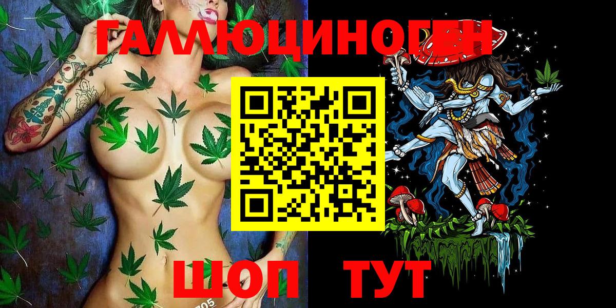 Галлюциногенные грибы Psilocybe  купить наркотики цена  Красноармейск  Вход с VPN 